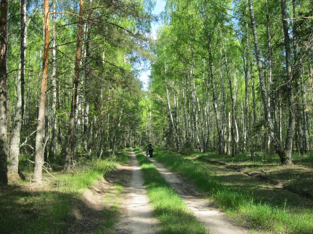 Жовтневе з panoramio.com - Жовтневе