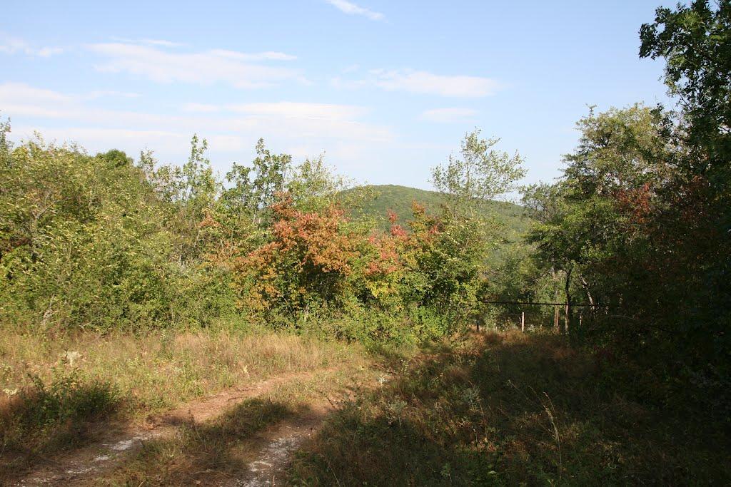 Научний з panoramio.com - Научний