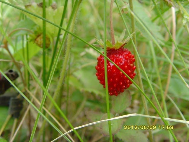 Мойка з panoramio.com - Мойка