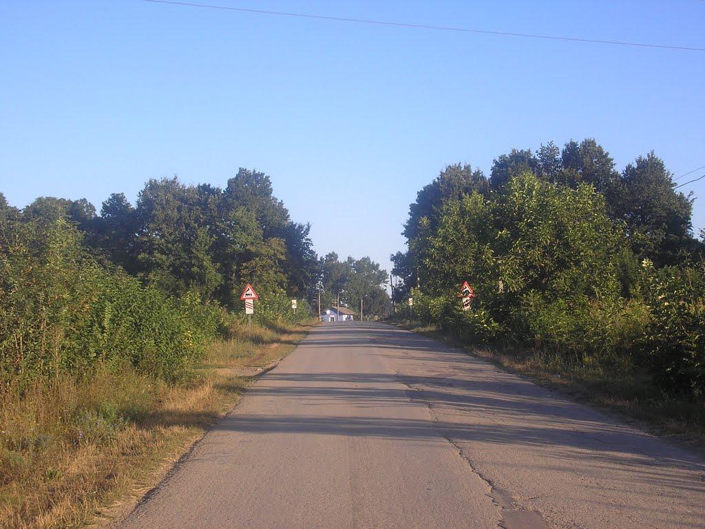 Романківці з panoramio.com - Романківці