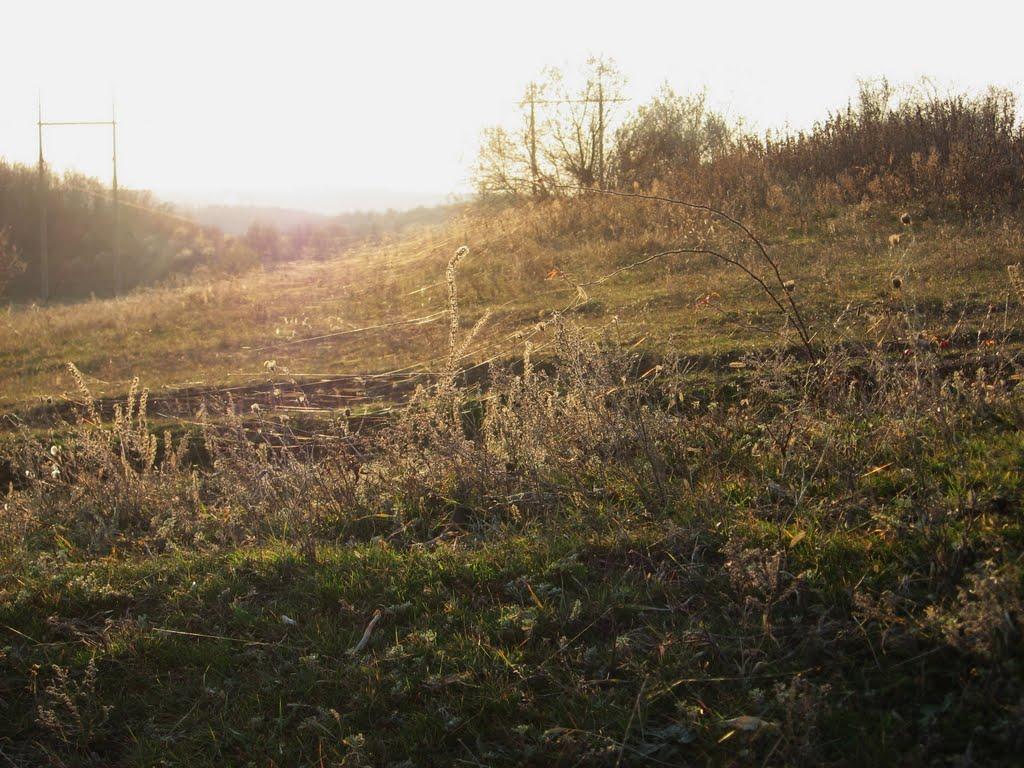 Домниця з panoramio.com - Домница
