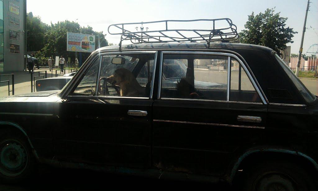 Лисичанськ з panoramio.com (ч.3) - Lysychansk