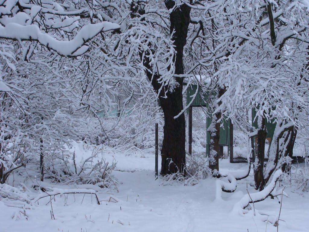 Калуш з panoramio.com (ч.2) - Kalush