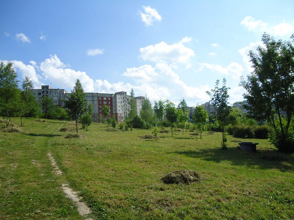 Рівне з panoramio.com (ч.5) - Ровно