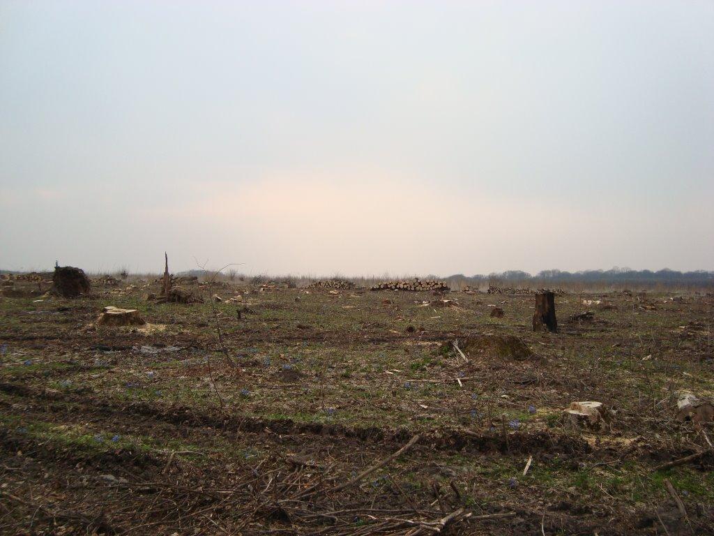 Новоукраїнка з panoramio.com - Новоукраїнка