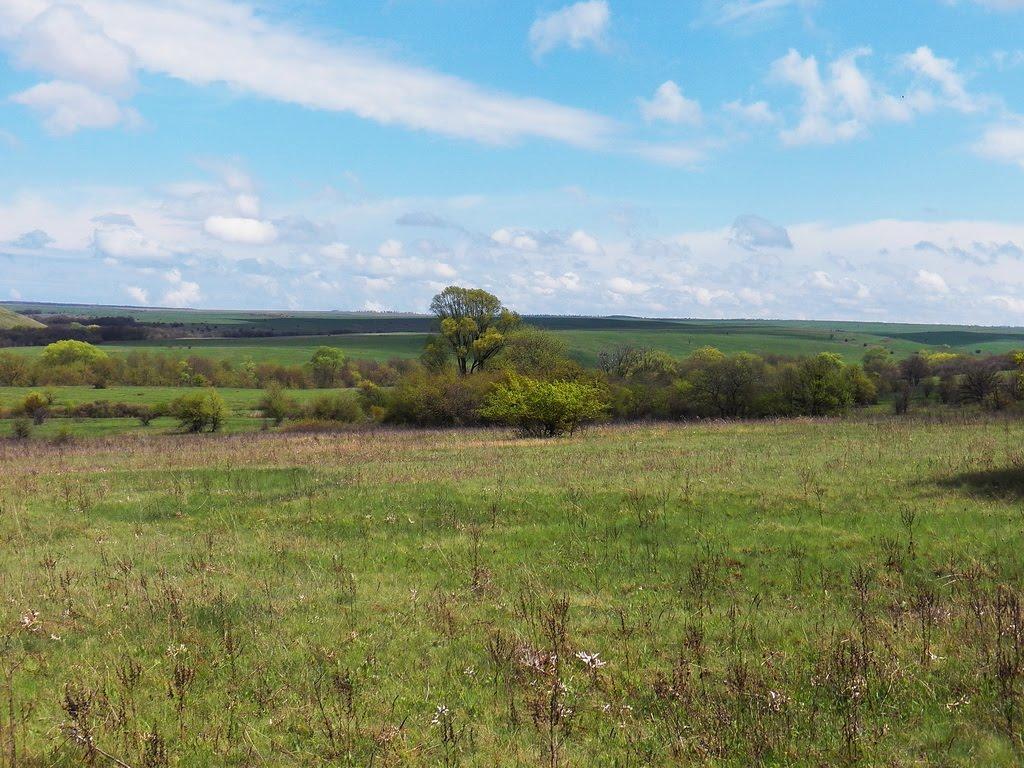 Ольховатка з panoramio.com - Ольховатка