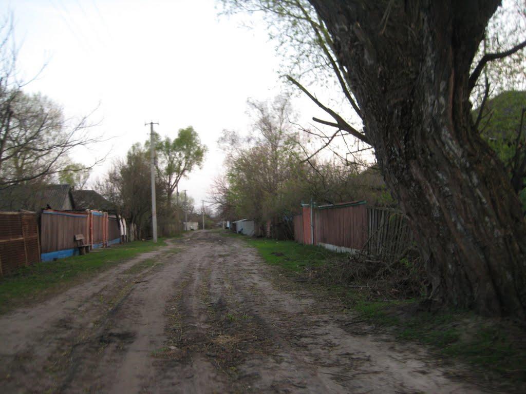 Кузьки з panoramio.com - Кузьки