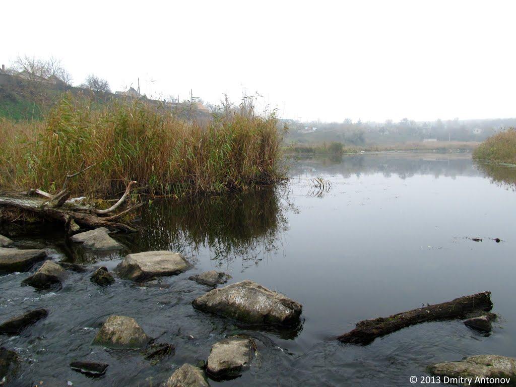 Вільне з panoramio.com - Вольное