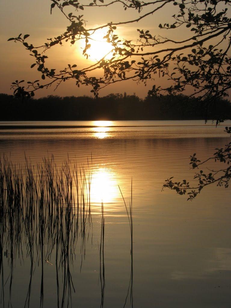Баланівка з panoramio.com - Баланівка