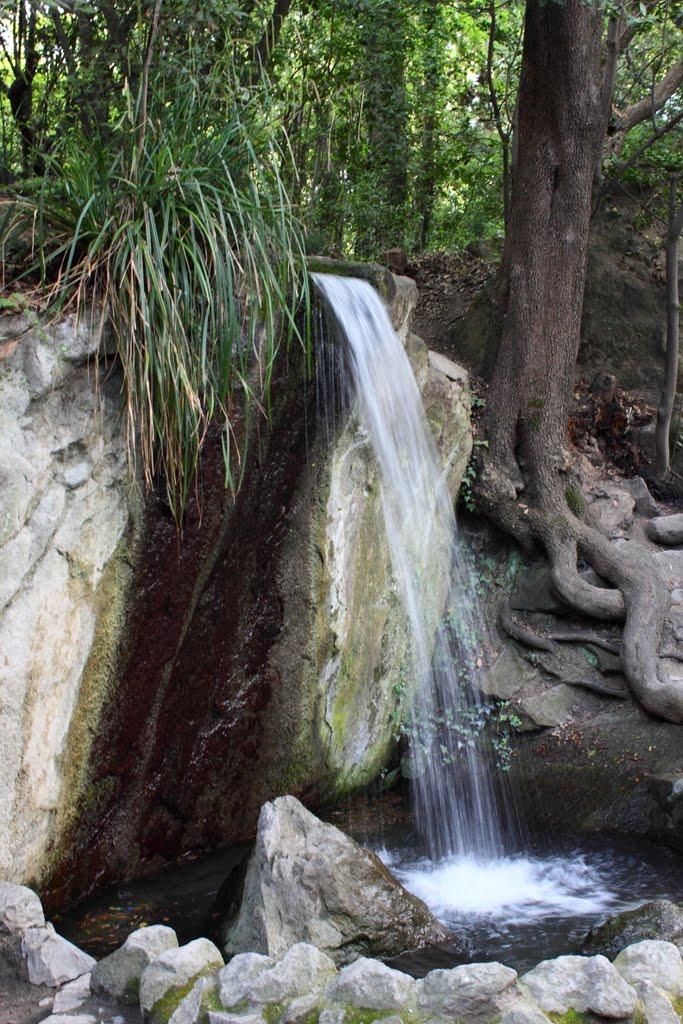 Алупка з panoramio.com (ч.3) - Алупка
