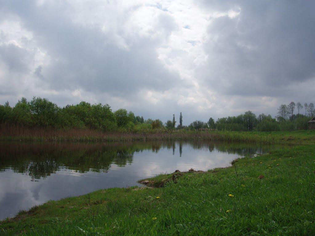 Віленька з panoramio.com - Vilenka