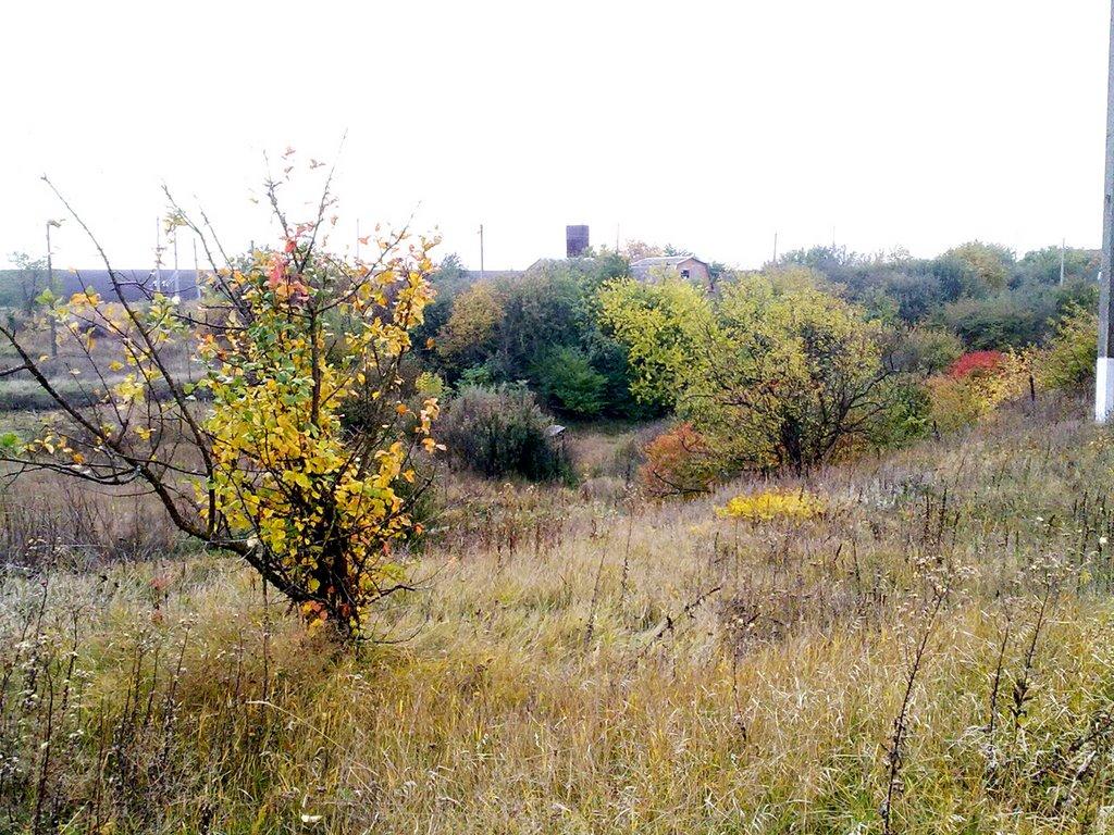 Божкове з panoramio.com - Божкове