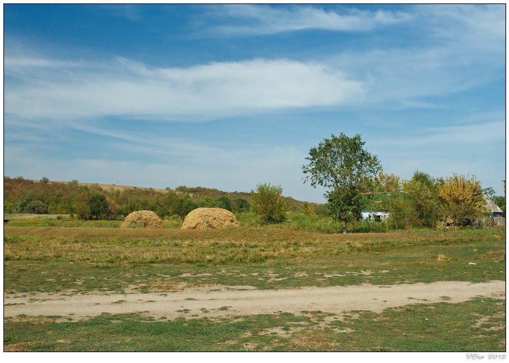 Ряснопіль з panoramio.com - Ряснополь