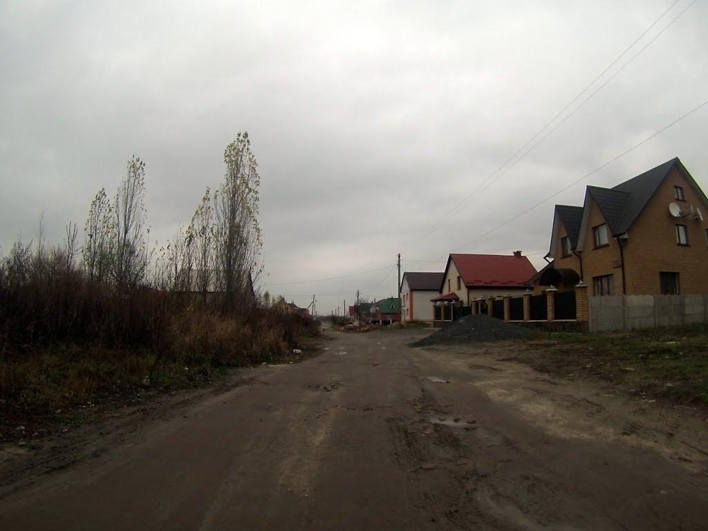 Новоград-Волинський з panoramio.com (ч.3) - Новоград-Волынский