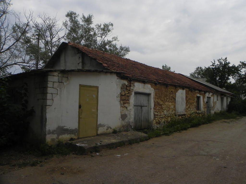 Научний з panoramio.com - Научний