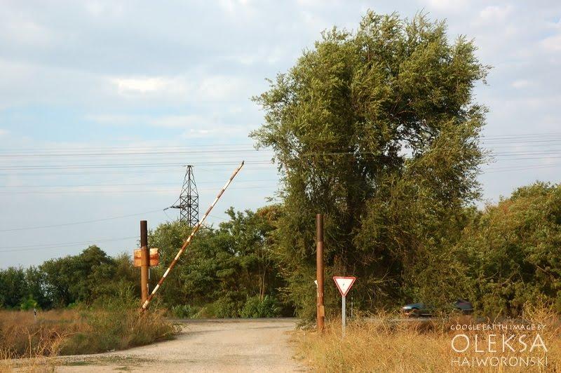 Волошине з panoramio.com - Волошине