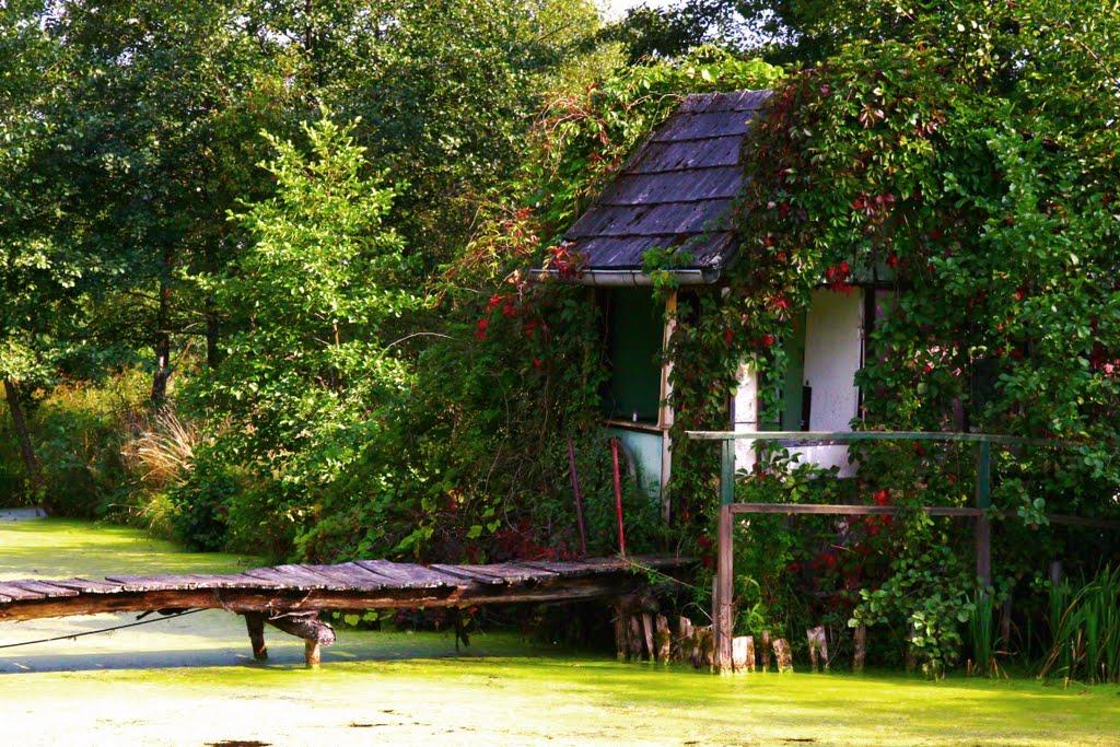 Ковалі з panoramio.com - Ковалі