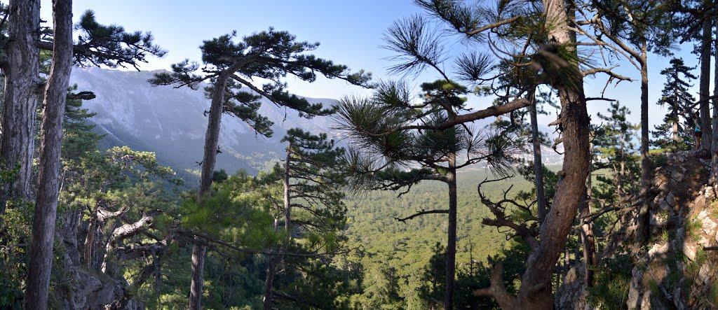 Високогірне з panoramio.com - Высокогорное