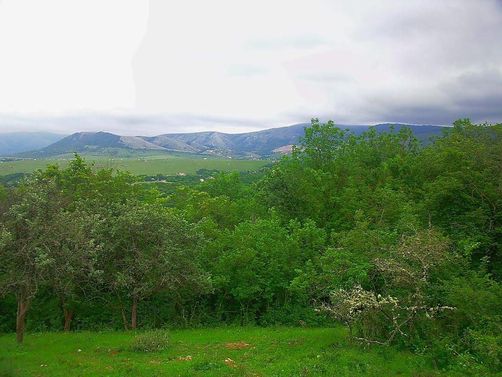 Краснолісся з panoramio.com - Краснолісся