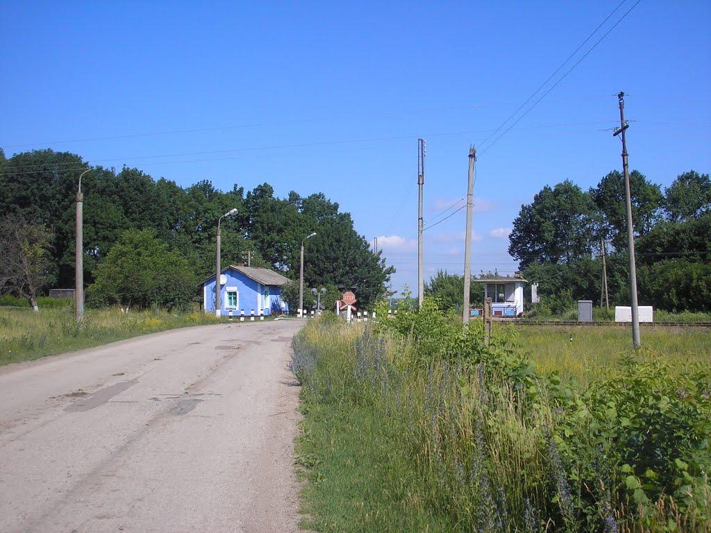 Романківці з panoramio.com - Романківці