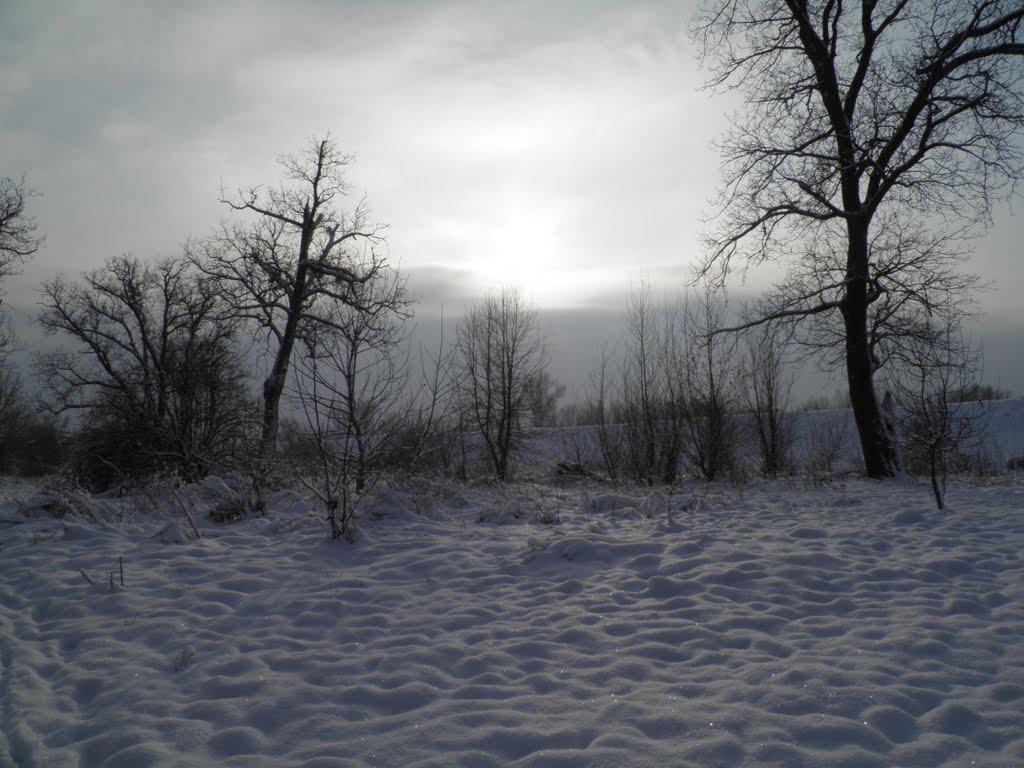 Вилок з panoramio.com - Вилок