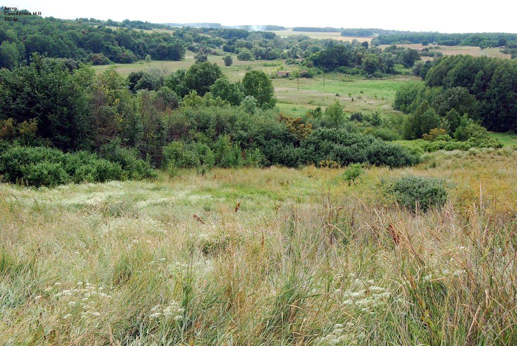 Безруки з panoramio.com - Безруки