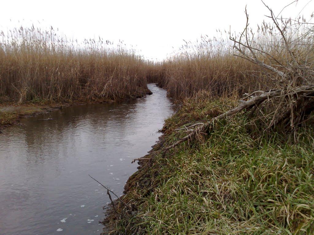 Троїцьке з panoramio.com - Троїцьке