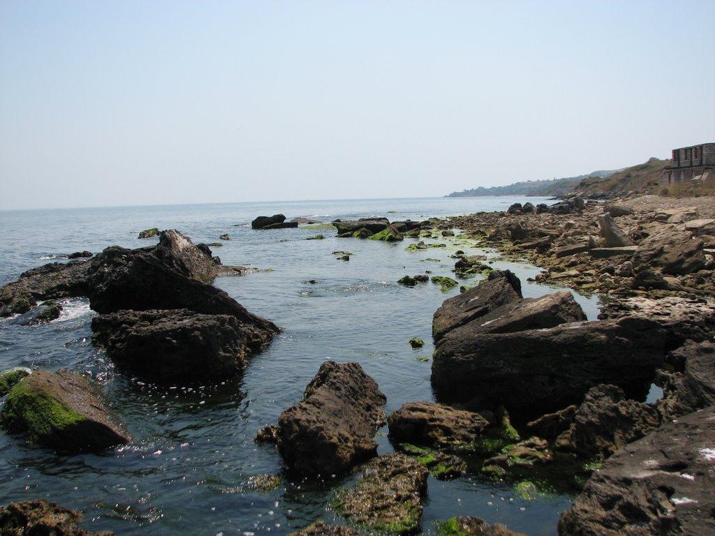 Осовини з panoramio.com - Осовини