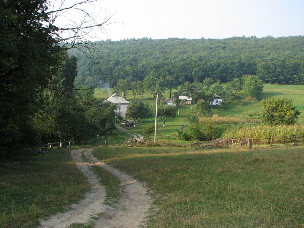 Біще з panoramio.com - Бище