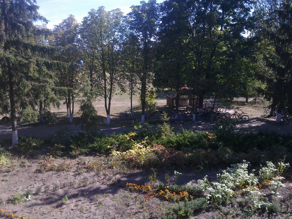 Гудими з panoramio.com - Гудымы