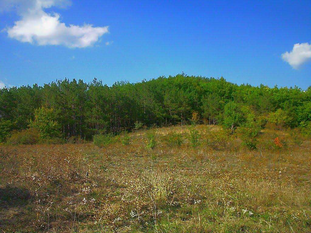 Богатир з panoramio.com - Богатырь