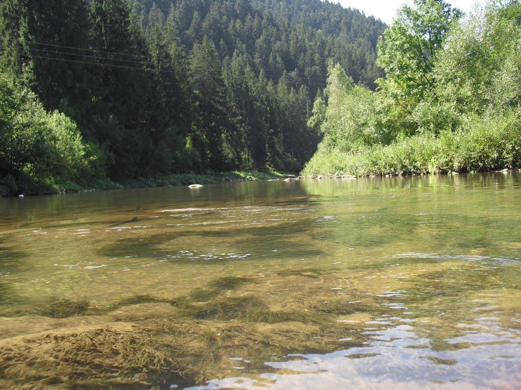 Сойми з panoramio.com - Сойми