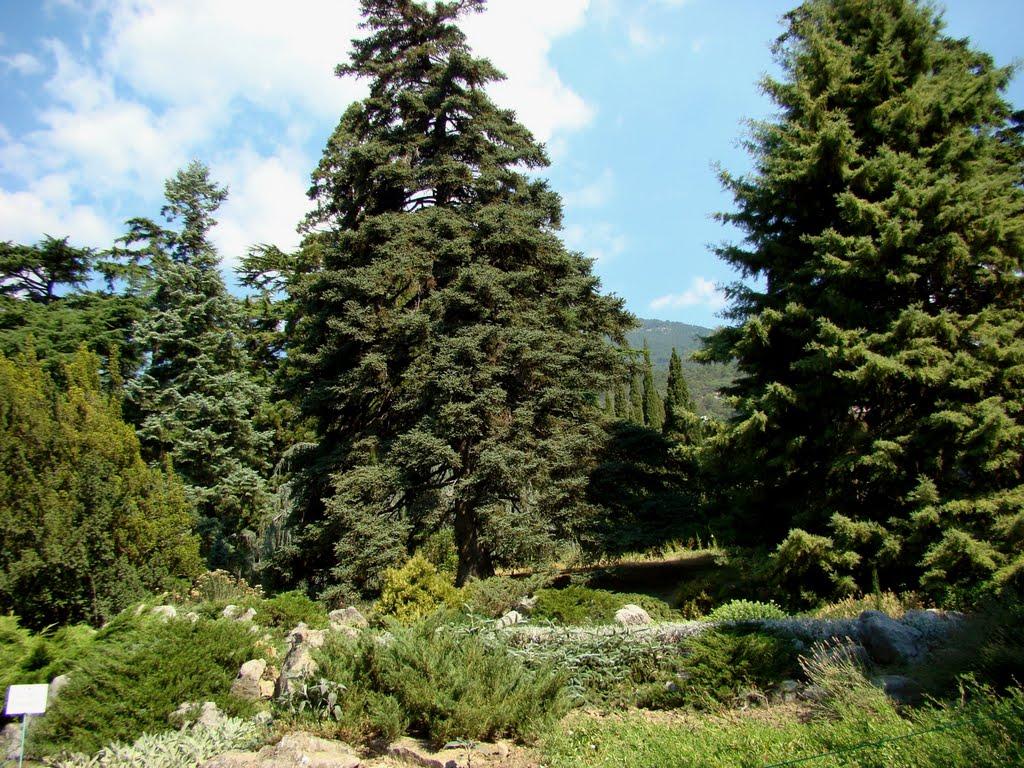 Нікіта з panoramio.com (ч.2) - Никита