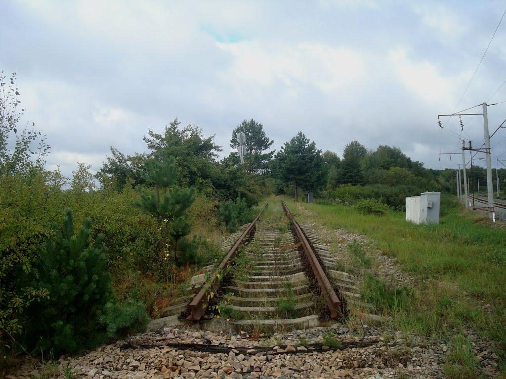 Судилків з panoramio.com - Судилків