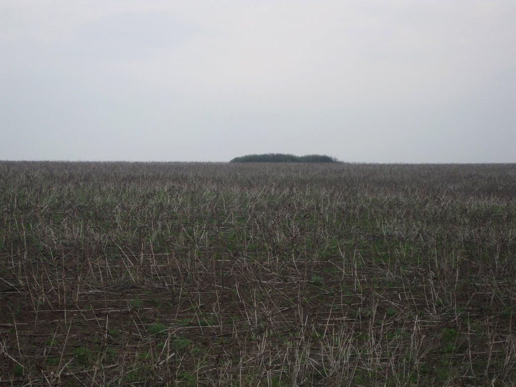 Нижче Солоне з panoramio.com - Нижче Солоне