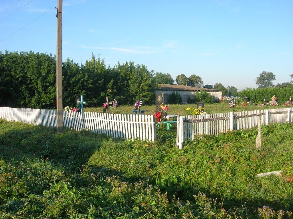 Дідовичі з panoramio.com - Дідовичі