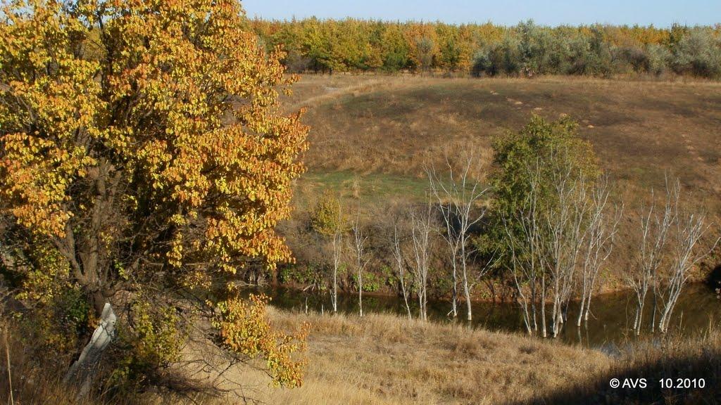 Покровське з panoramio.com - Покровське