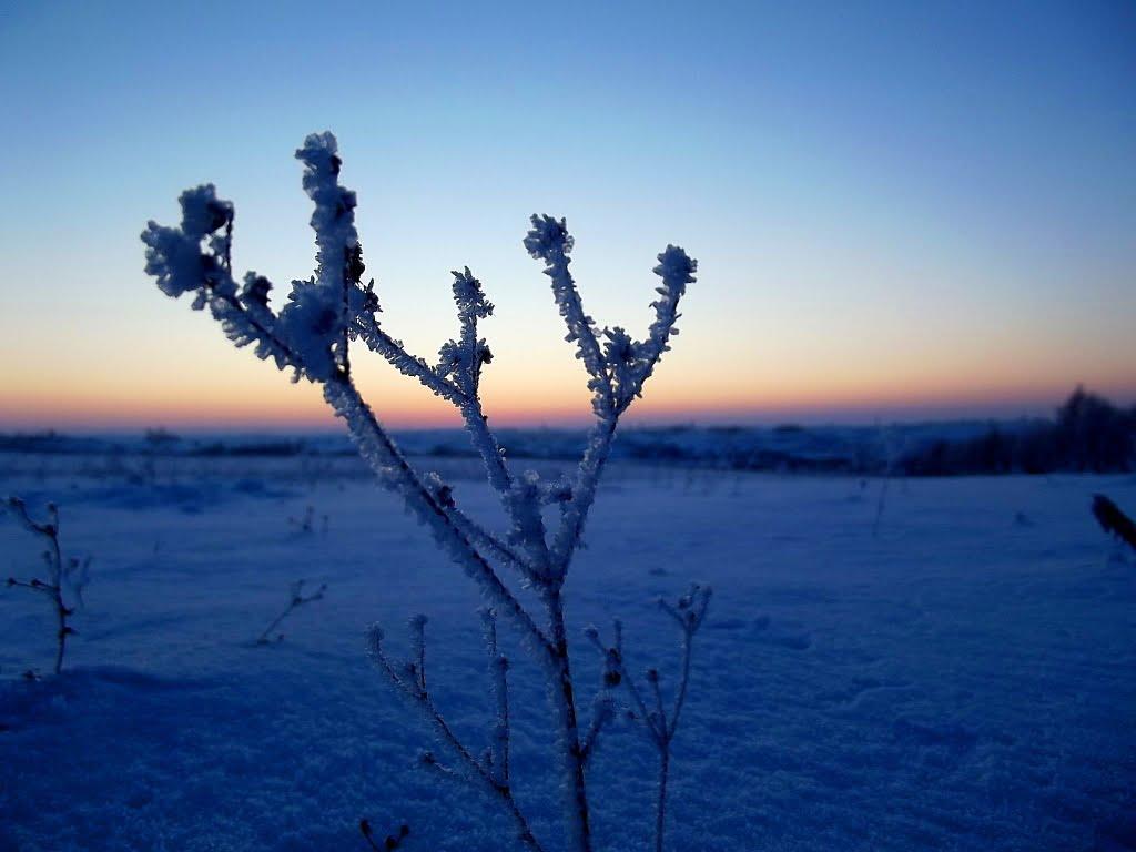 Рівне з panoramio.com (ч.5) - Ровно