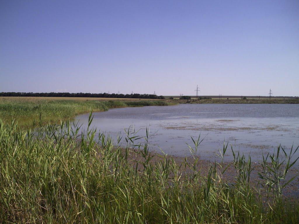 Лисиче з panoramio.com - Лисичье