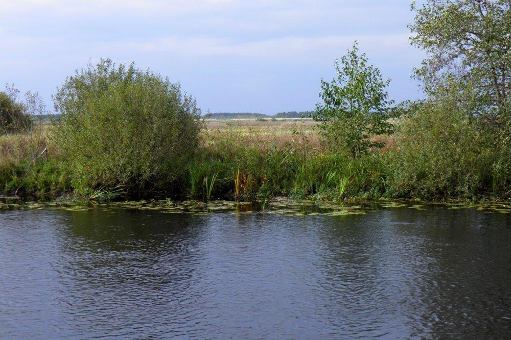 Млин з panoramio.com - Млын