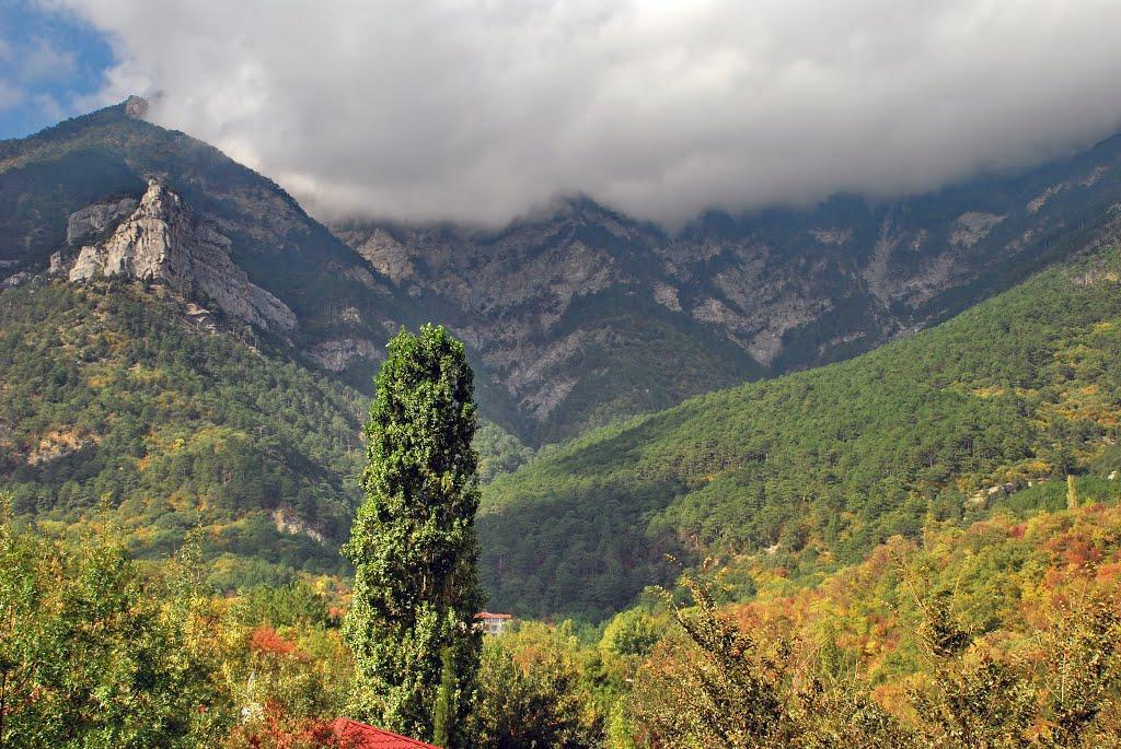 Виноградне з panoramio.com - Виноградное
