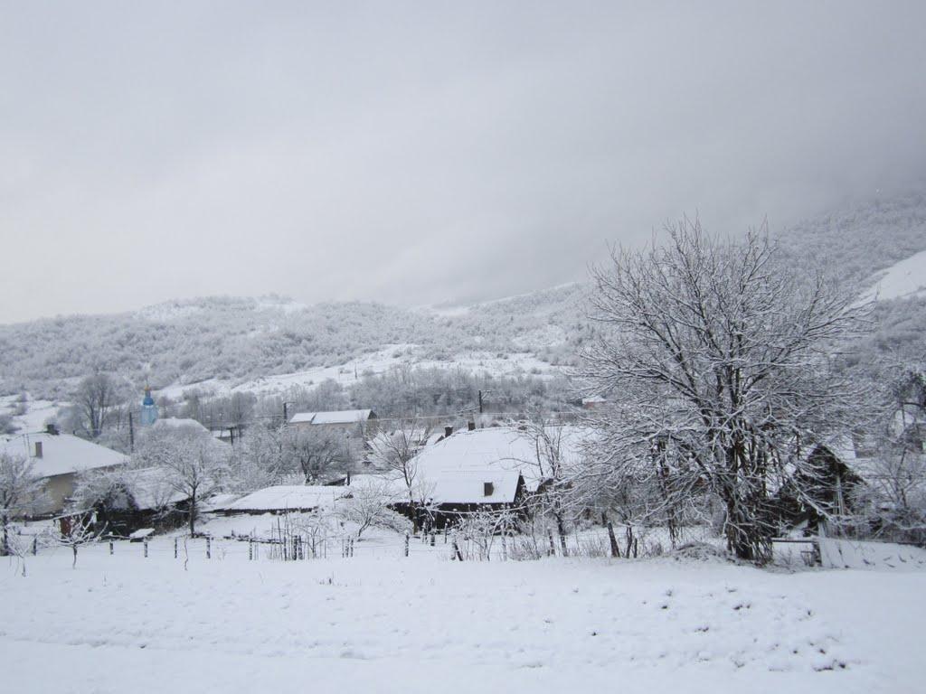 Ставне з panoramio.com - Ставное