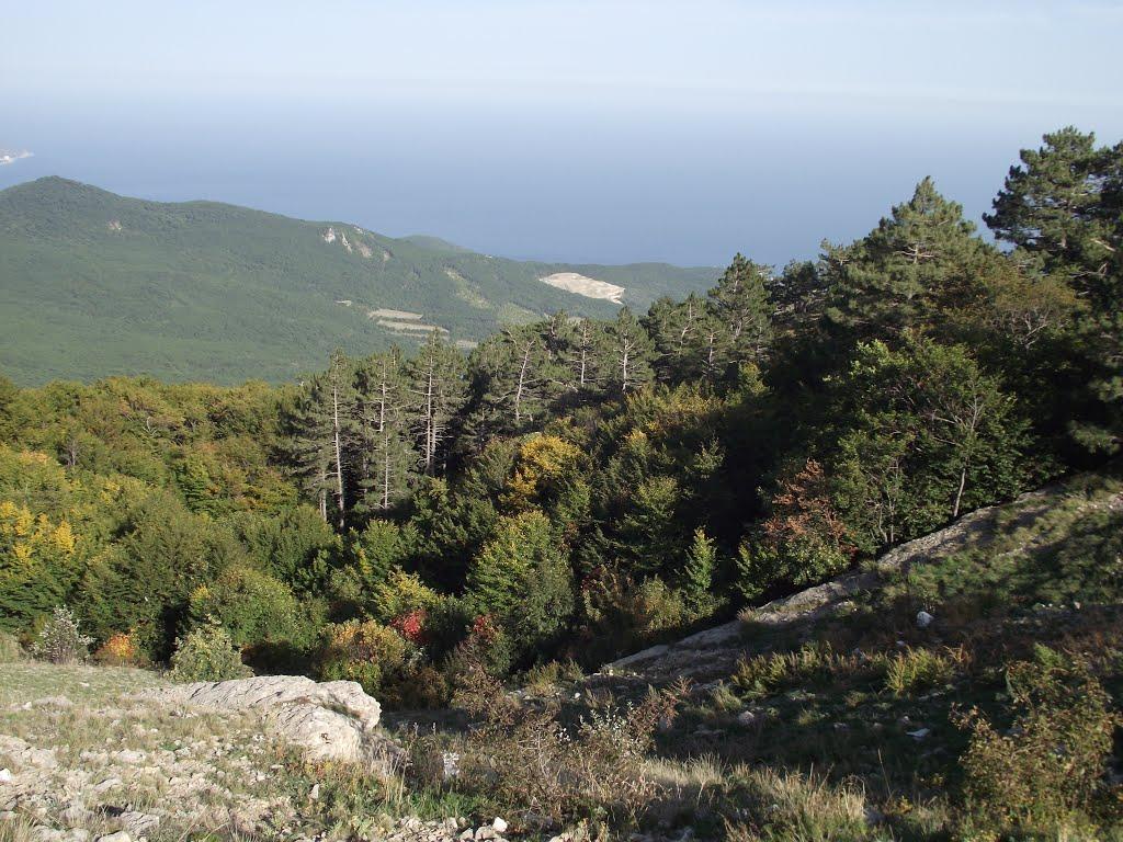 Охотниче з panoramio.com (ч.3) - Охотничее