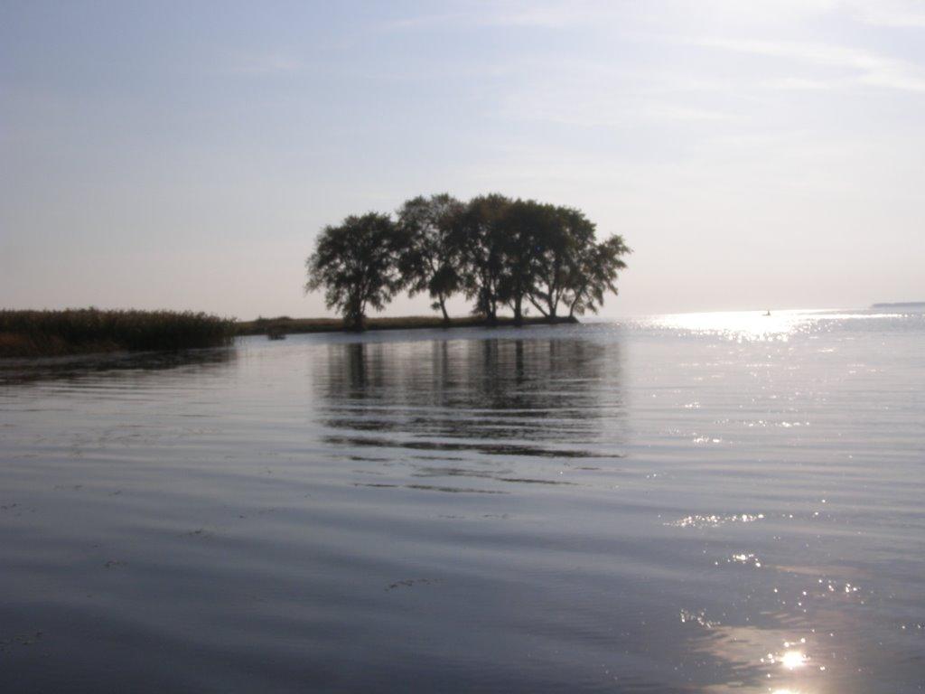 Косачівка з panoramio.com - Косачівка