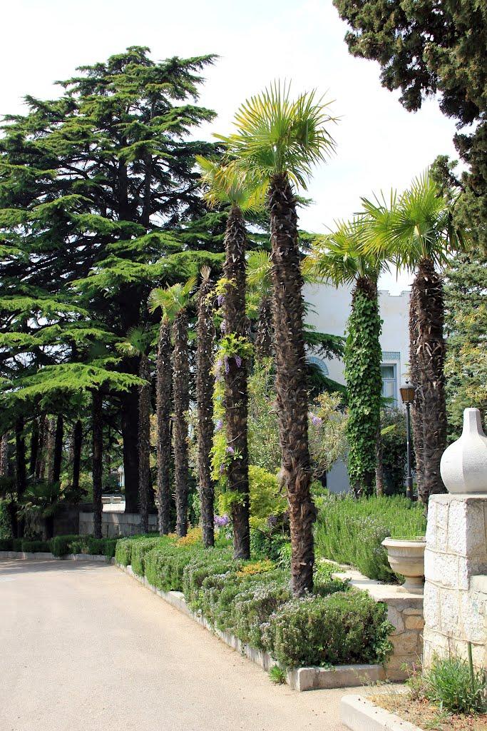 Кореїз з panoramio.com (ч.2) - Koreyiz