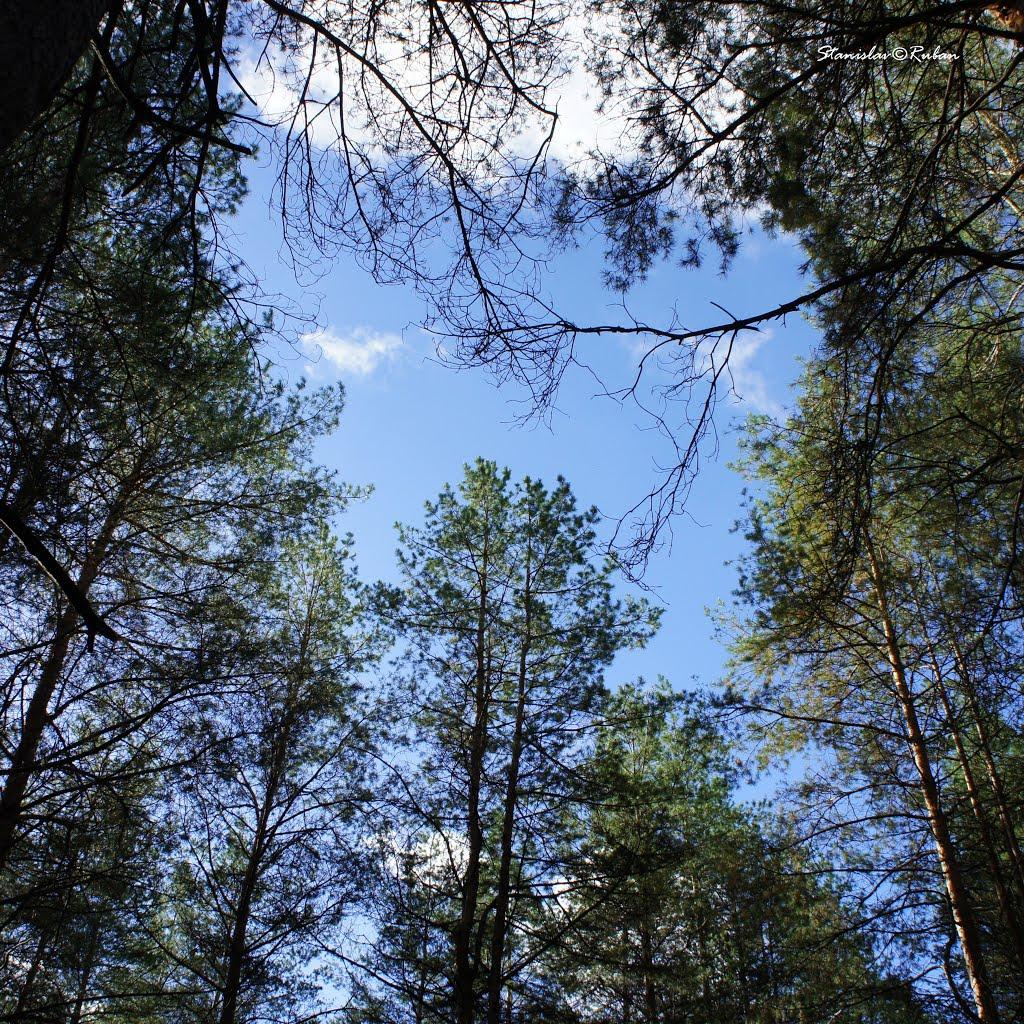 Кіровське з panoramio.com (ч.3) - Обуховка