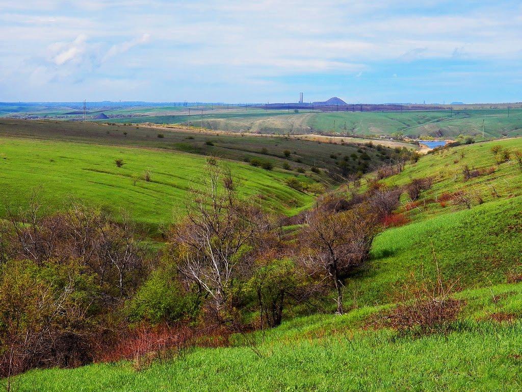 Ольховатка з panoramio.com - Ольховатка