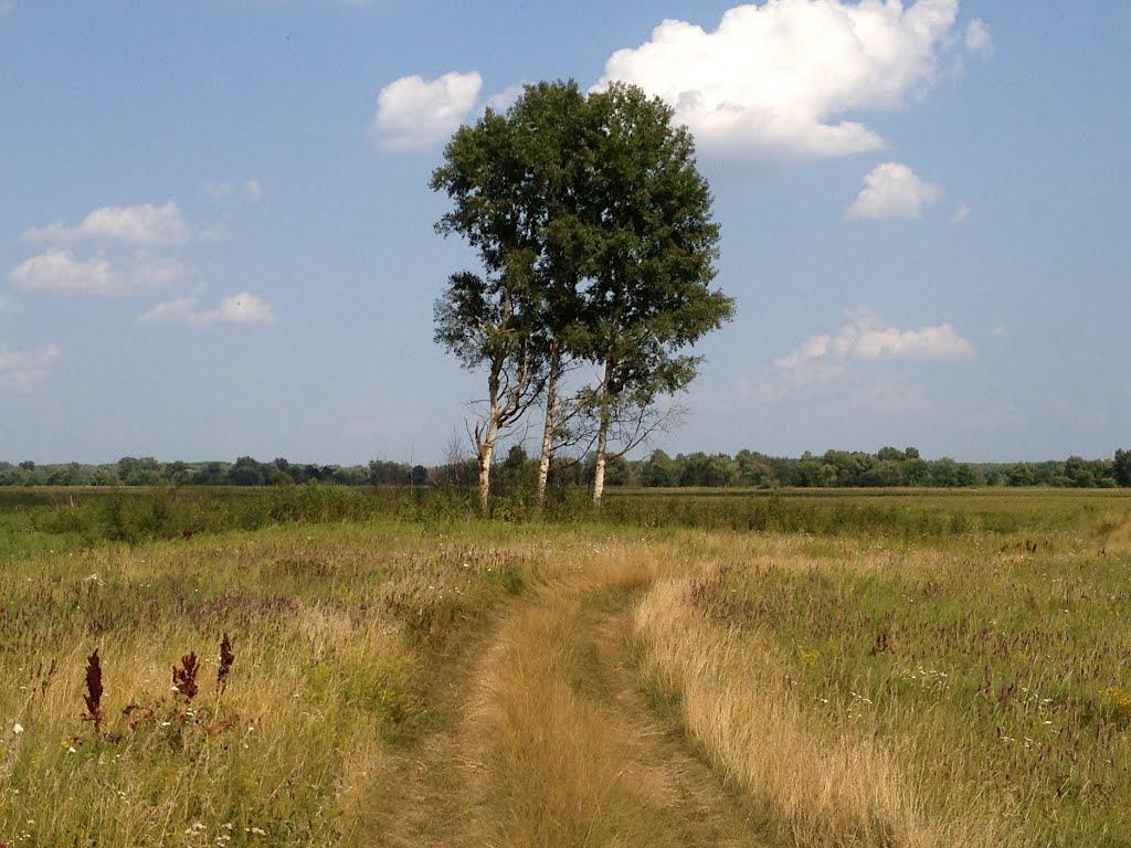 Жукин з panoramio.com - Жукин