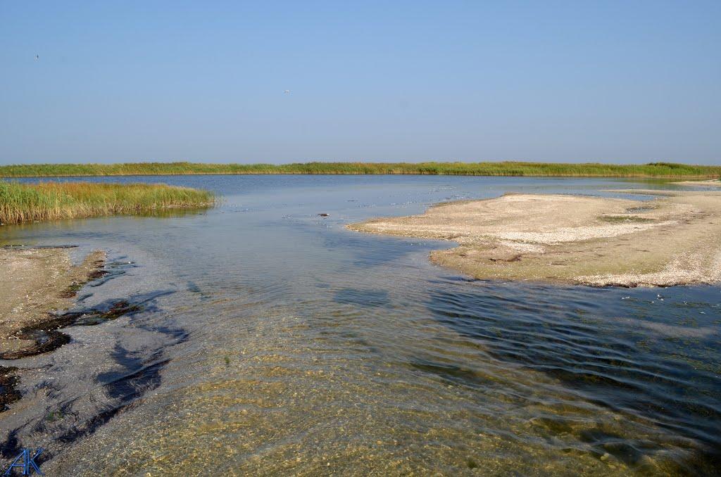 Білосарайська Коса з panoramio.com - Білосарайська Коса