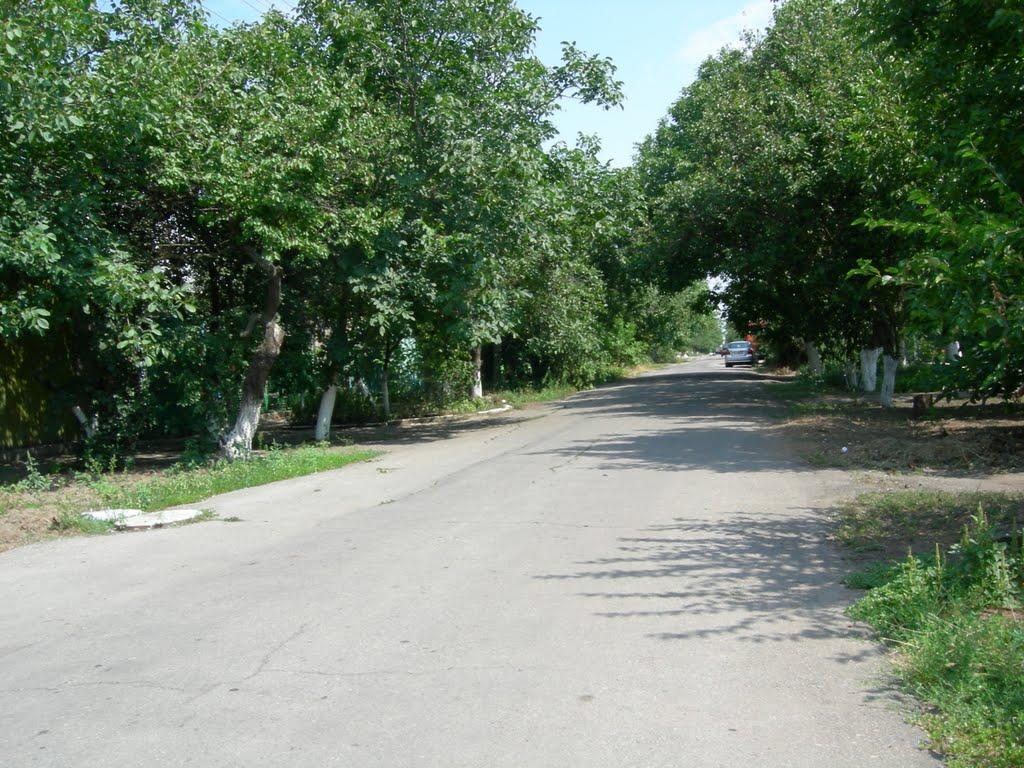Бердянськ з panoramio.com (ч.3) - Бердянск